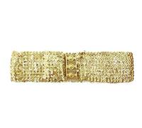 Women's Shiny Sequin Elastic Belt Wide Decorative Dress Belt Cute Belt For Girls With Metal Interlocking Buckle, Gold, Standard