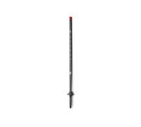Women's ski touring poles Black Diamond Carbon Gris TU
