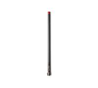 Women's ski touring poles Black Diamond Carbon W FL Gris TU