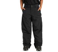 Women's snowboard pants DC Shoes Riveter Noir S