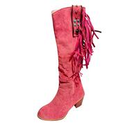 Women's Suede Tassel Boots Mid Calf Pointy Toe Slouchy Retro Boots with Chunky High Block Heel and Side Zip Fastening Comfortable Casual Daywear Booties Shoes for Women