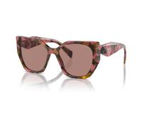 Women's Sunglasses Acetate Collection- female- Prada- Sunglasses- Beige- 55 MM- Accessories 55 MM