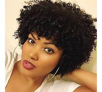 Women's Synthetic Wig Short Curly Black African American Wig Natural Wigs Costume Wig