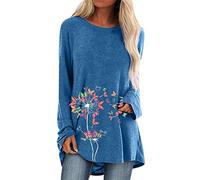 Womens T Shirts Oversized Mesh Sexy Womens Tops Plus Size 24-26 Knit Plain Round T Shirts Sweatshirts Tunics for Women