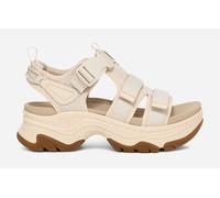 Women's TEVA Hurricane Ampsole Gaila Sandals in Birch, Size 6