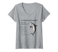 Womens The Bottlenose Dolphin Taxonomy Classifcation V-Neck T-Shirt