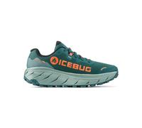 Women's trail running shoes Icebug Arcus 2 RB9X GTX 38