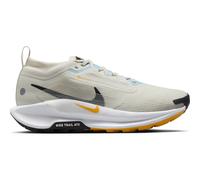 Women's trail running shoes Nike Pegasus 5 Gore-Tex 38