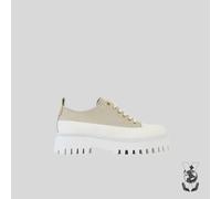 Women's Trainers Bronx Groov-y low lace up Canvas Marron 40