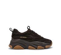 Women's Trainers Steve Madden Possession-E Marron 41