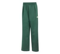 Women's Trousers adidas Stadium Vert M