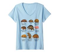 Womens Types of Armadillo Educational Wildlife Species Ecology V-Neck T-Shirt