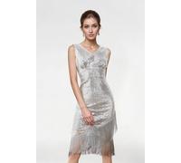 Women's Vintage V Neck 1920s Flapper Fringed Sequin Dress in Silver | Size: Large The hot sale Silver L