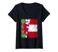 Womens Wales Peru Half Flag Welsh Peruvian Heritage Jersey V-Neck T-Shirt