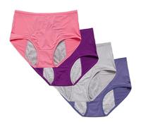 Women's Waterproof Incontinence Underwear, Comfortable & Washable Reusable Briefs, Full Coverage Panties - 4 Pack for Leak Protection & Comfort (C Medium)