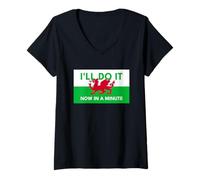 Womens Welsh Dragon Flag - Do It Now in A Minute V-Neck T-Shirt