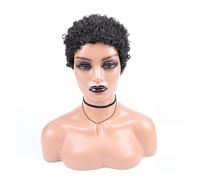 Women's Wigs Short Afro Curly Synthetic Hair Wigs for Black Women Short Hairstyles Hair Replacement Wig Wig Hair(01)