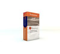 Womersleys Ironstone Heritage Lime Mortar Terracotta Pre Mixed Natural Hydraulic Lime and Sand 25kg Bag