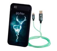 WONDEE Harry Potter Powerbank Magic Pack 10,000 mAh LED Patronus Effect + Magical Light Cable - Harry Potter Gadgets Gifts, Portable Charger 10,000 and Light Cable Spell of Patronus