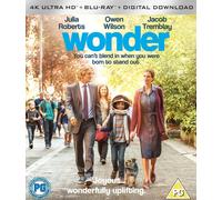 Wonder