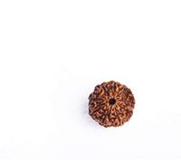 Wonder Care - Original Nepali Nine Faced Rudraksha 9 Mukhi Rudraksha Bead Natural Rudra Religious Rosary Genuine Nepal Prayer Bead