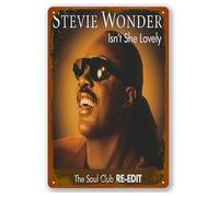 Wonder, Stevie Concer Poster Vintage Metal Aluminium Sign Tin Sign-Home Decor Garage Man Cave Wall Art 12" X 8"