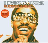 Wonder, Stevie - Wonder Of Stevie, The (DJ Spinna And Bobbito)