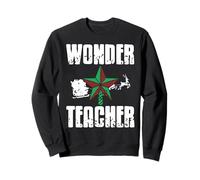 Wonder Teacher Shining Star Holiday Educator Hero Theme Sweatshirt