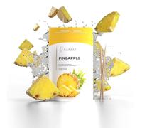 Wonder Toothpick Refillpack - Flavoured toothpicks - Chewing Gum Plastic-Free - Stop Nail Biting - Fresh Breath with Flavoured toothpicks - Teeth Cleaning to go - Sugar-Free, Vegan