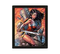 Wonder Woman Battle 3D Lenticular Frame