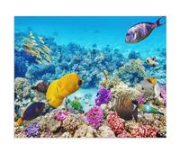 Wonderful and Beautiful Underwater World with Corals and Tropical Fish，Puzzle 1000 Pieces Paper Puzzle Adult Children'S Educational Toy Family Decompression Game（38x26cm）-X55