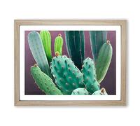 Wonderful Cactus Framed Print | A2 Oak Framed Wall Art | Ready to Hang | Modern Nature Picture | Living Room Bedroom Lounge Office