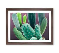Wonderful Cactus Framed Print | A2 Walnut Framed Wall Art | Ready to Hang | Modern Nature Picture | Living Room Bedroom Lounge Office