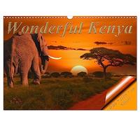 Wonderful Kenya (Wall Calendar 2026 DIN A3 landscape), CALVENDO 12 Month Wall Calendar: A safari in Kenya is an experience that you will never forget.