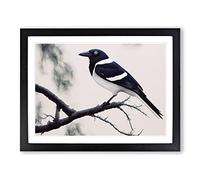 Wonderful Magpie Bird WHT Framed Print | A2 Black Framed Wall Art | Ready to Hang | Modern Nature Picture | Living Room Bedroom Lounge Office