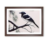 Wonderful Magpie Bird WHT Framed Print | A3 Walnut Framed Wall Art | Ready to Hang | Modern Nature Picture | Living Room Bedroom Lounge Office