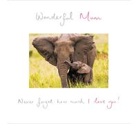 Wonderful Mum Cute Elephants Mother's Day Greeting Card Mothers Day Cards
