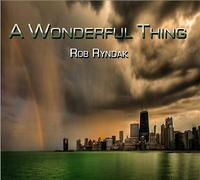 Wonderful Thing by Rob Ryndak (CD, 2013)