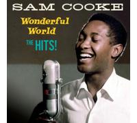 Sam Cooke : Wonderful World: The Hits VINYL 12" Album (Clear vinyl) (2025)