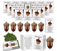 Wonderjune 36 Sets Back to School Teacher Gifts Emotional Support Small Appreciation Gifts for Employees Staff Coworkers Happy Mail from Teacher First Day of School Party Favors (Acorn)