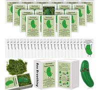 Wonderjune 36 Sets Back to School Teacher Gifts Emotional Support Small Appreciation Gifts for Employees Staff Coworkers Happy Mail from Teacher First Day of School Party Favors (Pickle)