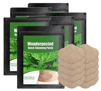 Wonderposted Wormwood Abdomen Patch,Burn Up Belly Shaping Patch,Natural Plant Wormwood Abdomen Patch,Natural Wormwood Extract Patches for Knee, Back, Neck (6Box 30Pcs)