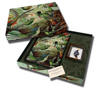 Wonders are Collectible: Taxidermy: The Beauty of Beetles, Bugs and Butterflies