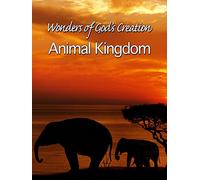 Wonders of God's Creations: Animal Kingdom