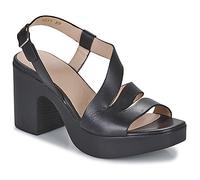 Wonders Sandals L-1011 PERGAMENA in Black 7.5