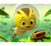 Wonders Under The Water