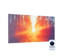 Wonderwall Infinite 720W 59.5x119.5cm Infrared Picture Heater Forest