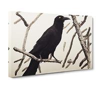 Wondrous Crow Bird Canvas Print | Gallery Wrapped 30mm Frame Wall Art | 30x20 inches | Ready to Hang | Contemporary Animals Picture | Living Room Bedroom Lounge Office