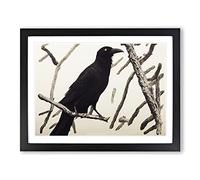 Wondrous Crow Bird Framed Print | A2 Black Framed Wall Art | Ready to Hang | Modern Animal Picture | Living Room Bedroom Lounge Office