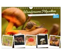 Wondrous mushroom worlds UK-Version (Wall Calendar 2026 DIN A4 Landscape), CALVENDO 12 Month Wall Calendar